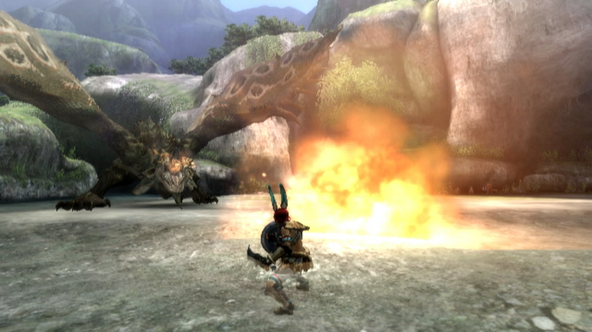 Monster Hunter Tri (3)